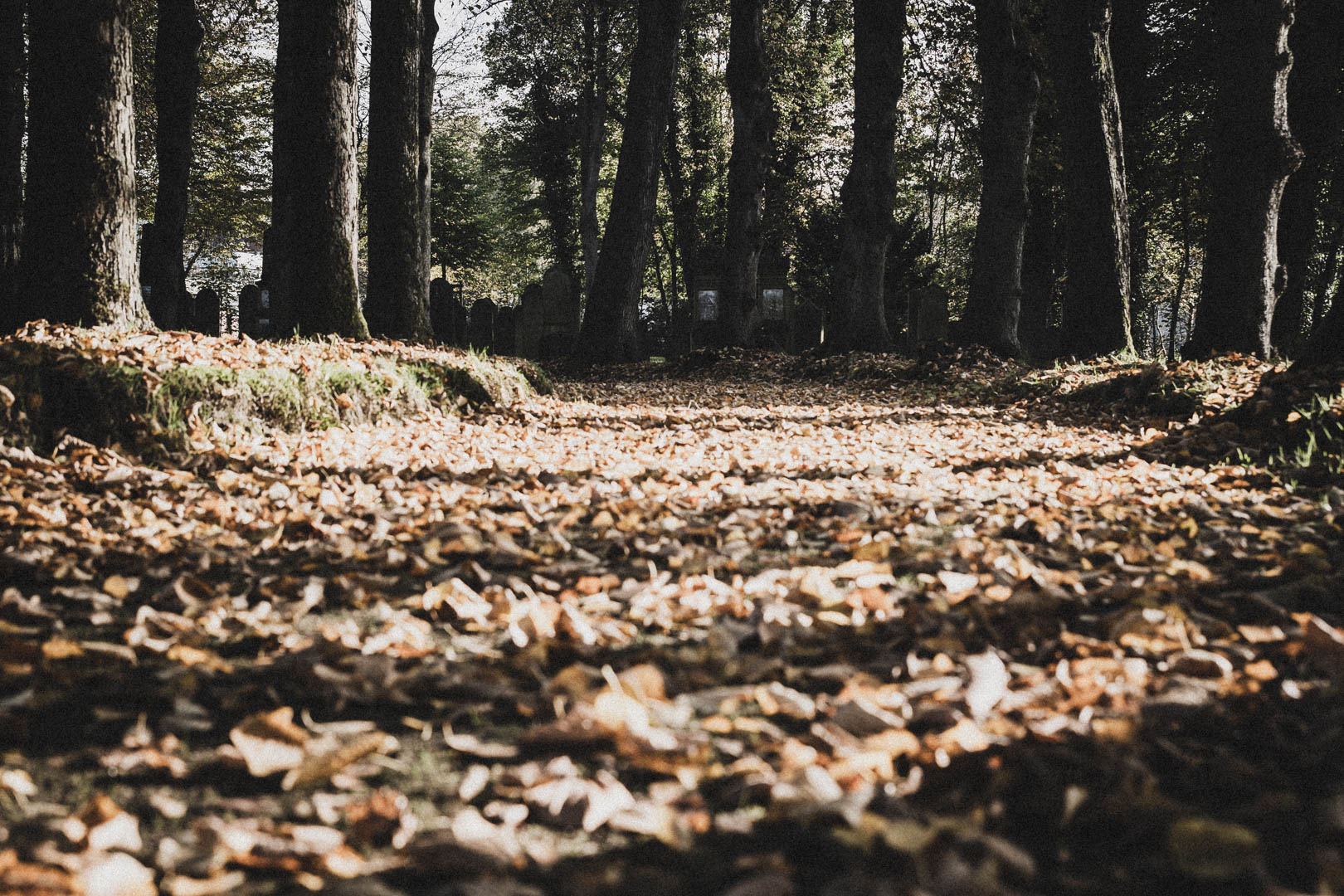 Norden (Ostfriesland), Jüdischer Friedhof
